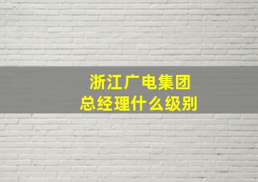 浙江广电集团总经理什么级别