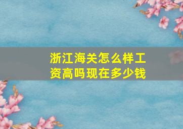 浙江海关怎么样工资高吗现在多少钱