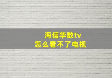 海信华数tv怎么看不了电视