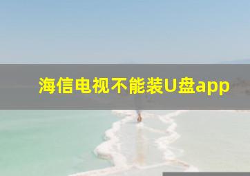 海信电视不能装U盘app