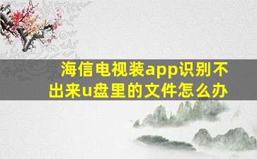 海信电视装app识别不出来u盘里的文件怎么办