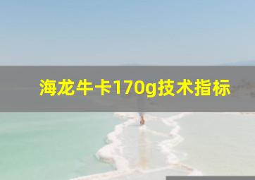 海龙牛卡170g技术指标