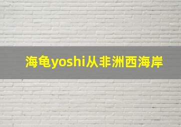 海龟yoshi从非洲西海岸