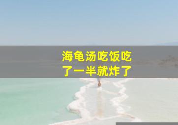 海龟汤吃饭吃了一半就炸了