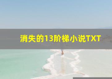 消失的13阶梯小说TXT