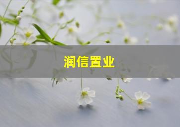 润信置业