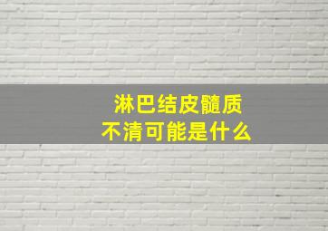 淋巴结皮髓质不清可能是什么