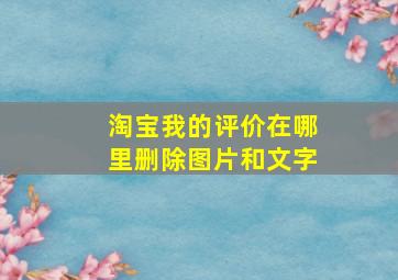 淘宝我的评价在哪里删除图片和文字