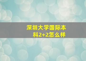 深圳大学国际本科2+2怎么样