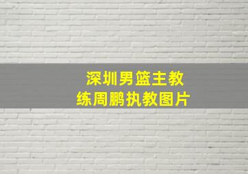 深圳男篮主教练周鹏执教图片