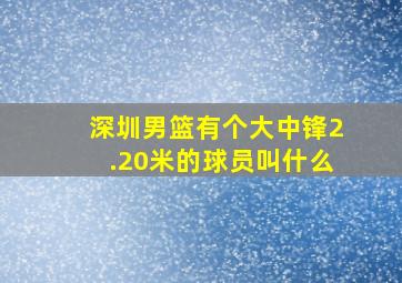 深圳男篮有个大中锋2.20米的球员叫什么