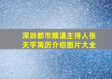 深圳都市频道主持人张天宇简历介绍图片大全