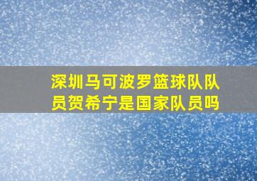 深圳马可波罗篮球队队员贺希宁是国家队员吗