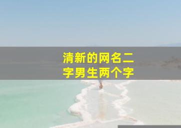 清新的网名二字男生两个字