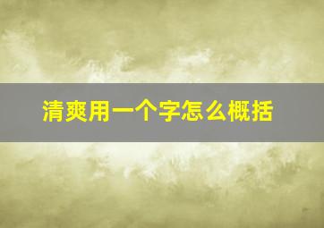 清爽用一个字怎么概括