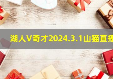 湖人V奇才2024.3.1山猫直播