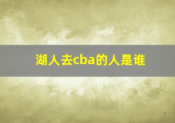 湖人去cba的人是谁