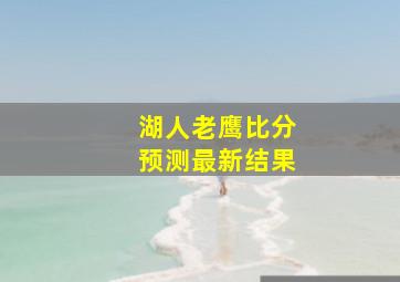 湖人老鹰比分预测最新结果