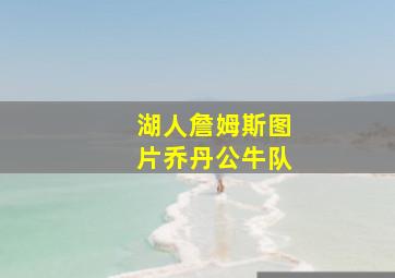 湖人詹姆斯图片乔丹公牛队