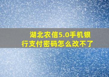 湖北农信5.0手机银行支付密码怎么改不了