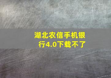 湖北农信手机银行4.0下载不了