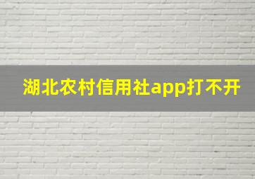 湖北农村信用社app打不开