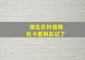 湖北农村信用社卡密码忘记了