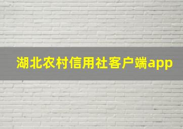 湖北农村信用社客户端app