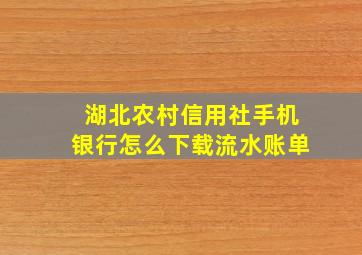 湖北农村信用社手机银行怎么下载流水账单