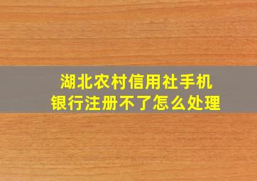 湖北农村信用社手机银行注册不了怎么处理