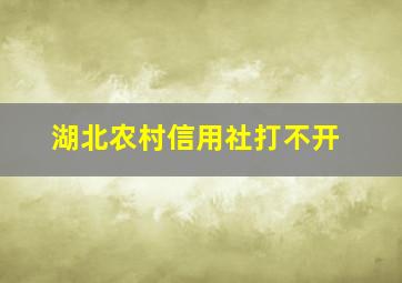 湖北农村信用社打不开