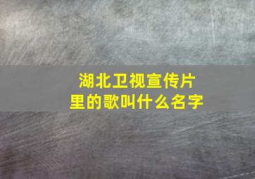 湖北卫视宣传片里的歌叫什么名字