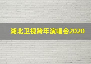 湖北卫视跨年演唱会2020