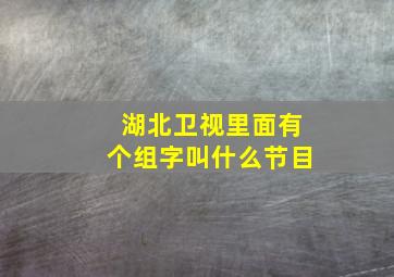 湖北卫视里面有个组字叫什么节目