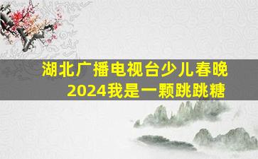 湖北广播电视台少儿春晚2024我是一颗跳跳糖