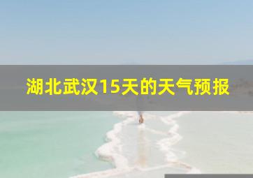 湖北武汉15天的天气预报