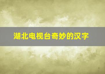 湖北电视台奇妙的汉字