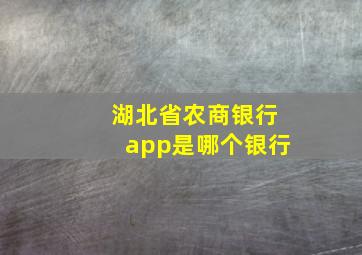 湖北省农商银行app是哪个银行