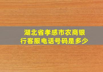 湖北省孝感市农商银行客服电话号码是多少