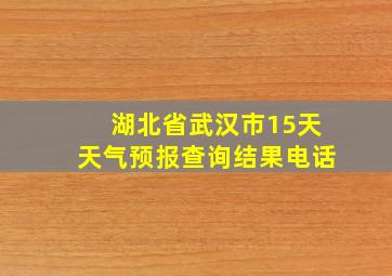 湖北省武汉市15天天气预报查询结果电话