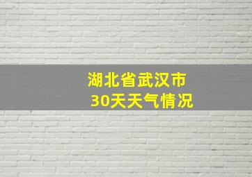 湖北省武汉市30天天气情况