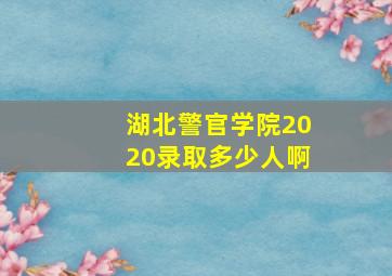 湖北警官学院2020录取多少人啊