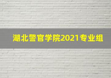 湖北警官学院2021专业组