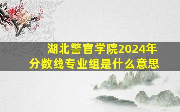 湖北警官学院2024年分数线专业组是什么意思