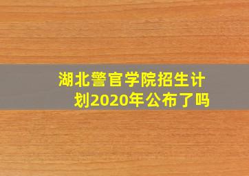 湖北警官学院招生计划2020年公布了吗