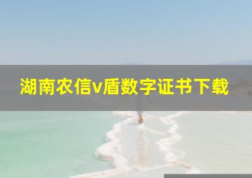 湖南农信v盾数字证书下载