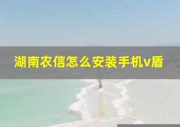 湖南农信怎么安装手机v盾