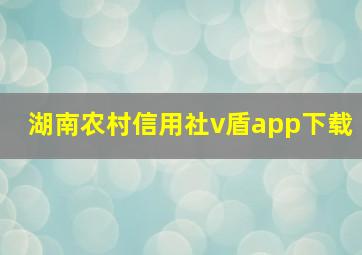 湖南农村信用社v盾app下载