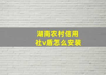 湖南农村信用社v盾怎么安装