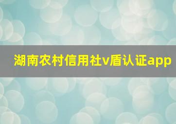 湖南农村信用社v盾认证app